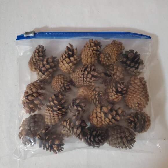 Natural Unscented Wooded Pinecones – Holiday Décor – Bag of (22) Pieces - Picture 4 of 4